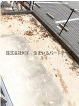 リーベC棟の庭|お庭でゆったりと過ごせます
