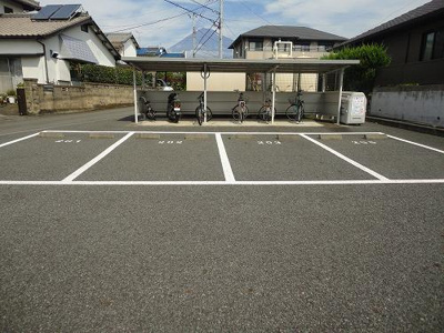  | プルメリア