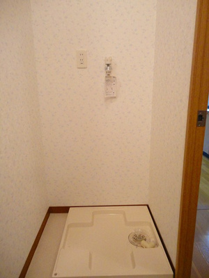  | プルメリア