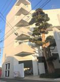 柿の木坂ロイアルハイツの画像