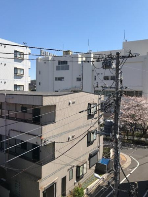 【展望】 | スプリングライト | 景色