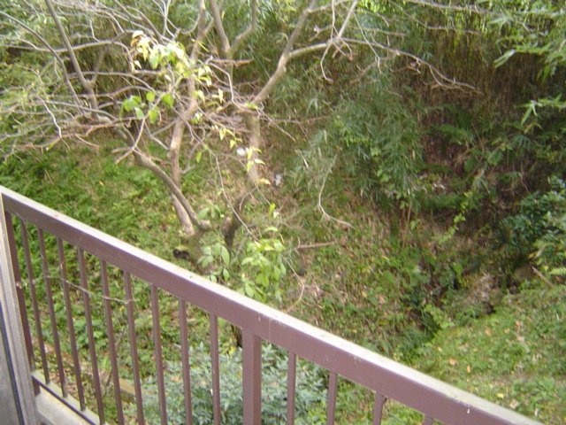 【バルコニー】 | 谷川荘 | 外からの目が気にならないバルコニーで洗濯物が干せます