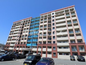 スカイウィングの画像