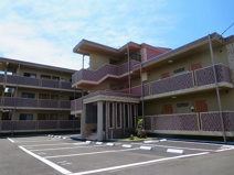 アルストロメリアの画像