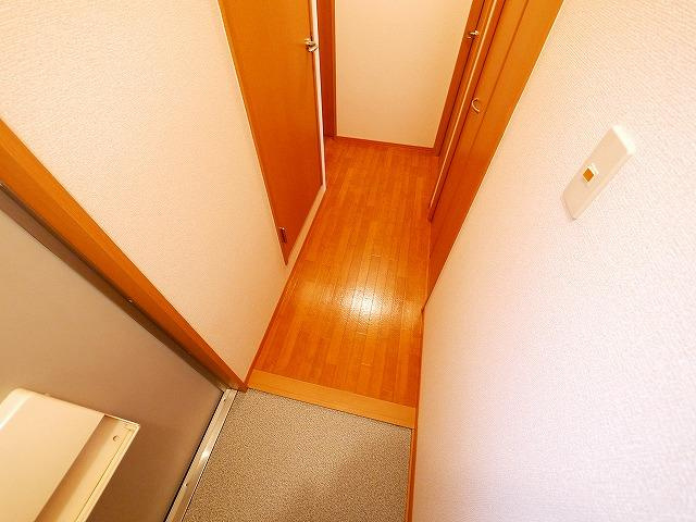 バードヒル　Ａ棟（上之庄）の玄関|落ち着いた玄関です