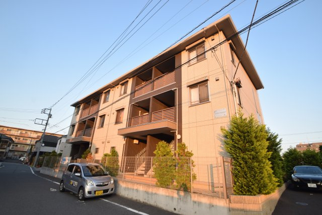アルブル　コインシデンス