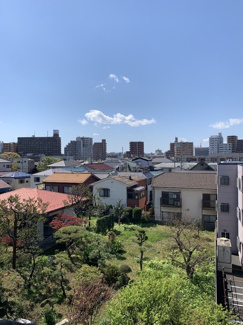 【展望】 | 現地からの眺め☆