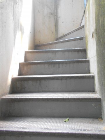 【その他共用部分】 | パティオ大岡