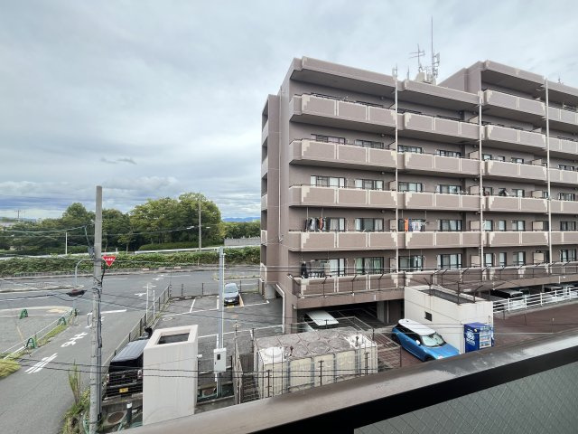 ピースフルハウスⅡの展望