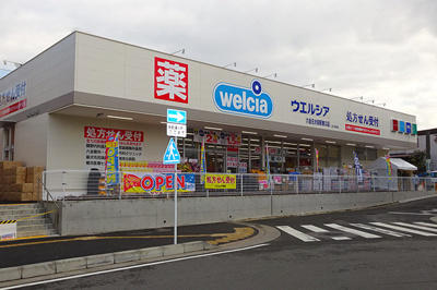 【周辺】 | MLH湘南台全3棟　駅徒歩13分　建築条件付き売地　№③ | ウェルシア