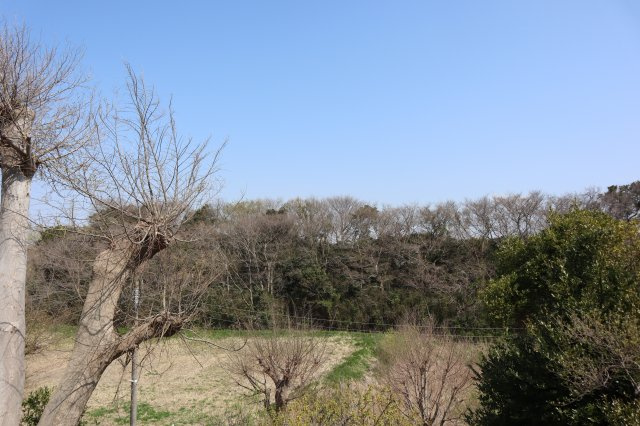 花見川区幕張町2丁目　売地　約４３坪　建築条件なし　更地　みはらし台分譲地内の展望|高台　開放的　