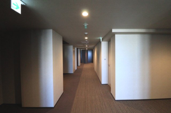 【その他共用部分】 | 【共用廊下】シックでホテルライクな内廊下。床は高級感あるブラウンのカーペットが敷き詰められています。