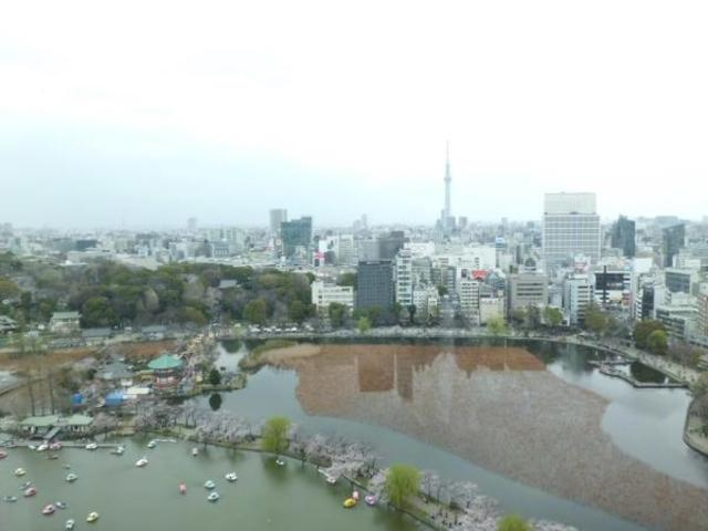 台東区池之端１丁目の賃貸マンション|眺望・同タイプ参照（23F）