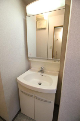 【独立洗面台】 | レプトン大福