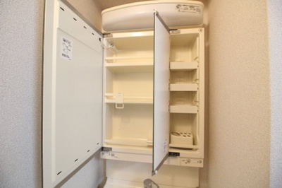 【独立洗面台】 | レプトン大福