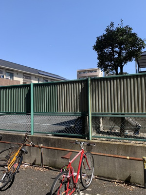 【展望】 | カリブ | 眺め