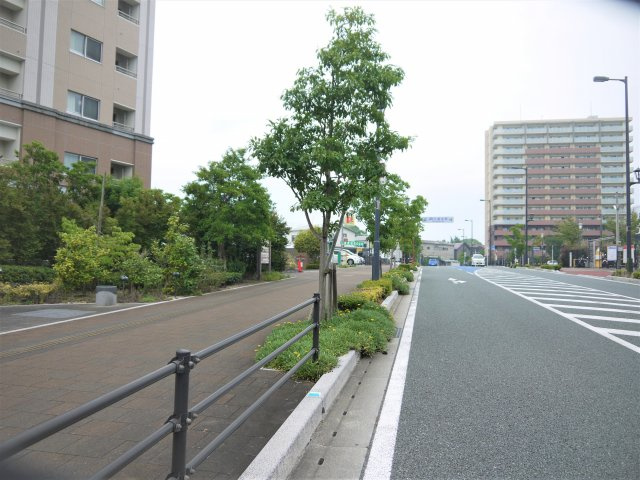 MJR久留米ステーションレジデンスの周辺|歩道のある道路でお子様も安心です