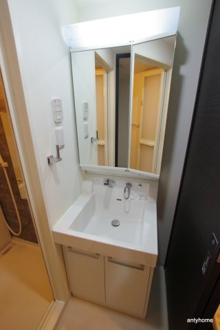 スワンズシティ堂島川　仲介手数料無料の洗面所