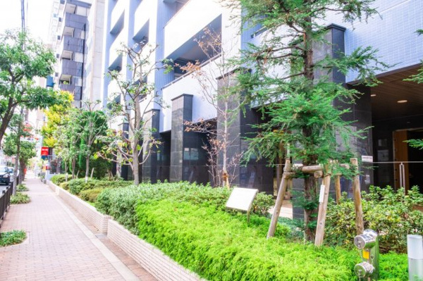 【周辺】 | 【周辺】マンション周辺は綺麗に管理された緑が多くございます！気持ちの良い並木道！