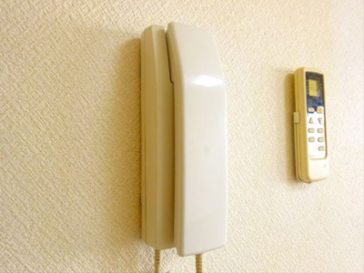【その他】 | ピュア山田