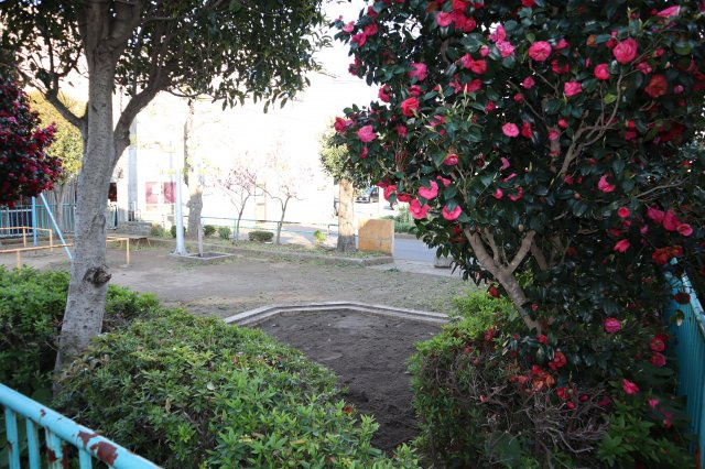花見川区作新台７丁目　平成２８年建築　惜譲　築浅中古戸建　注文建築の周辺|敷地の南東側は公園です。