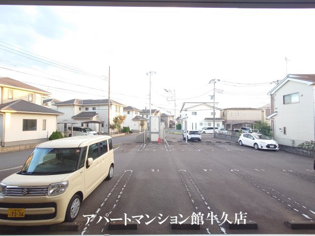 ラクーン・ヒルの展望