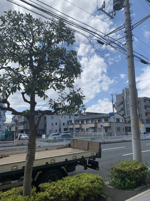 【展望】 | Liberte K | 前面道路につき遮光物はないです！