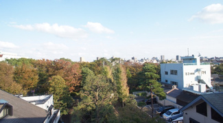 【展望】