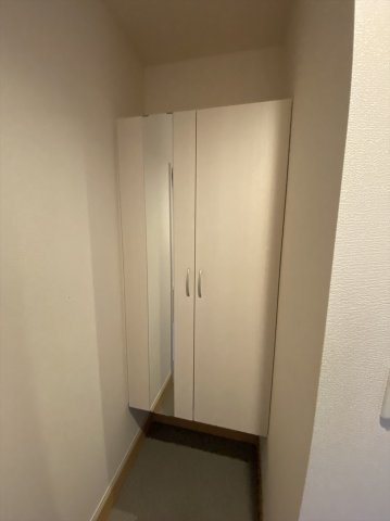 サンフラワー３１のその他
