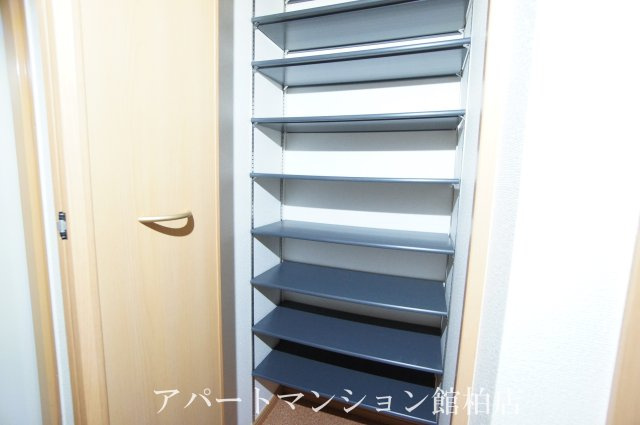 ルピナスの収納