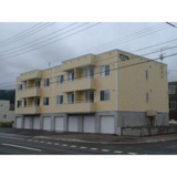 アステルの画像