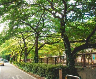 【周辺】 | ニューウイング中目黒 | ニューウイング中目黒