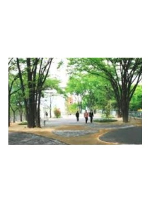 【周辺】 | クオリア神南フラッツ