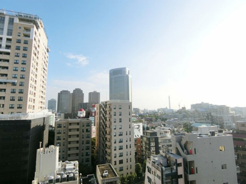売主物件 ディアナコート恵比寿 都心5区の不動産買取 リノベーション 株式会社ゼニアス
