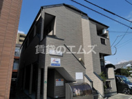 Ｓｏｌｅｉｌ, Ｍの画像