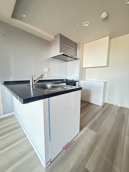 台東区池之端２丁目の賃貸マンションのキッチン