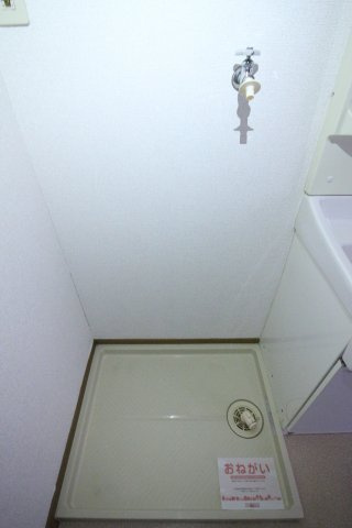 エクセランビラのその他