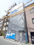 Yellow　Parrotの画像