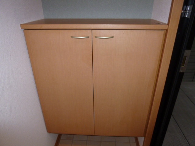 ボンヌシャンスＩＳＩＤＡ　Ａの収納