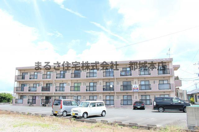 サンライズ金田