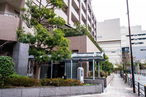 【周辺】 | 【周辺】マンション周辺の歩道はきれいに整備・管理されており、緑もたくさん植えられています！