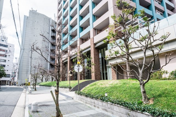 【周辺】 | 【周辺】マンション周辺の歩道もきれいに舗装・管理されています！気持ちの良い並木道！