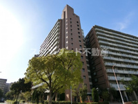 センチュリーさくら16の画像