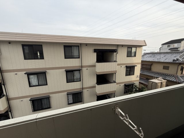 【展望】 | SHRIKE96（シュライク96）