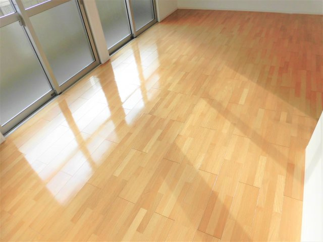 ラフィーネ・DuOの居間・リビング