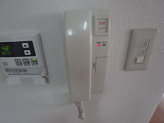 キャロル御影のセキュリティ