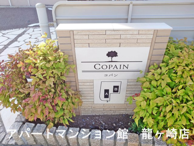 コパンAのエントランス