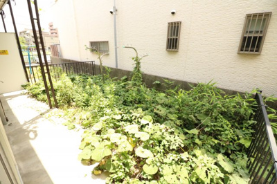 【庭】 | 東泉ヶ丘ハイツ