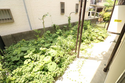 【庭】 | 東泉ヶ丘ハイツ