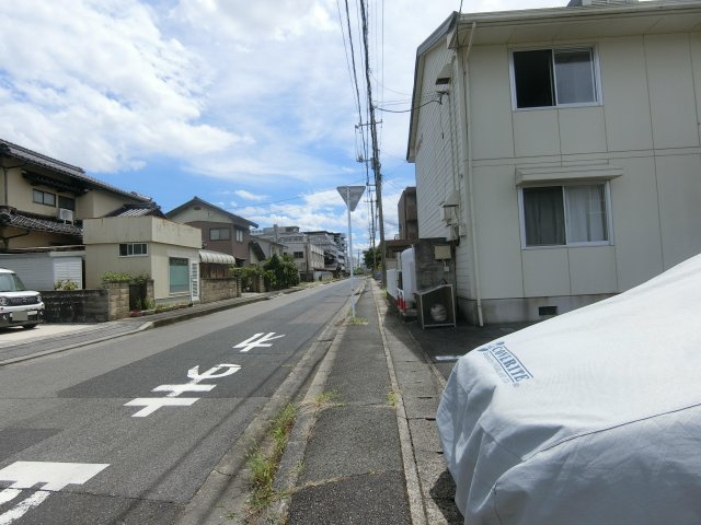 プリムローズの周辺